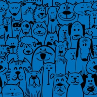 Scented thermoplastic rubber dog toys, rings, balls and discs